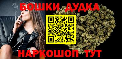 гашик Новокубанск