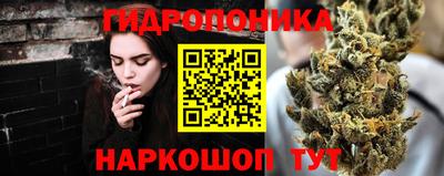 таблы Новозыбков