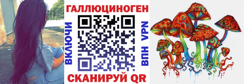 omg как зайти Фрязино Галлюциногенные грибы GOLDEN TEACHER