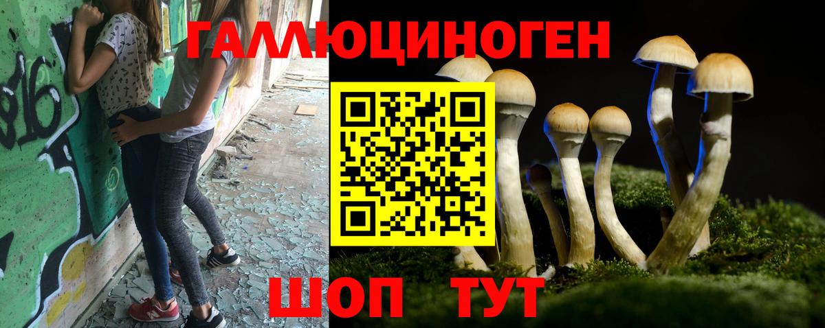 Галлюциногенные грибы Magic Shrooms  где продают наркотики  Вход с VPN  Фрязино  Галлюциногенные грибы прущие грибы 
