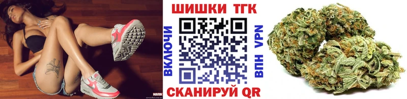 Каннабис план  продажа наркотиков  Фрязино 